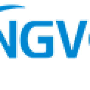 flyingvoice-logo